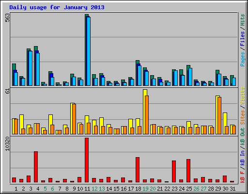 Daily usage for January 2013