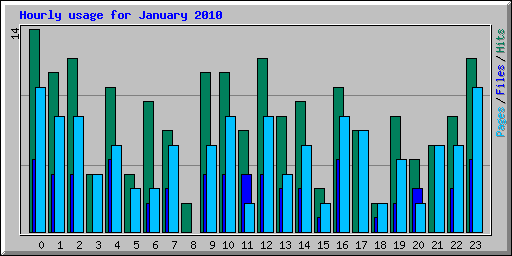 Hourly usage for January 2010