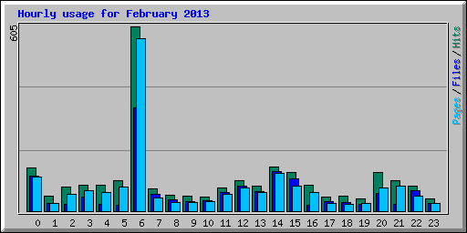 Hourly usage for February 2013