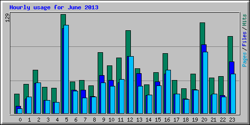 Hourly usage for June 2013